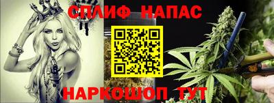 ПСИЛОЦИБИНОВЫЕ ГРИБЫ Будённовск